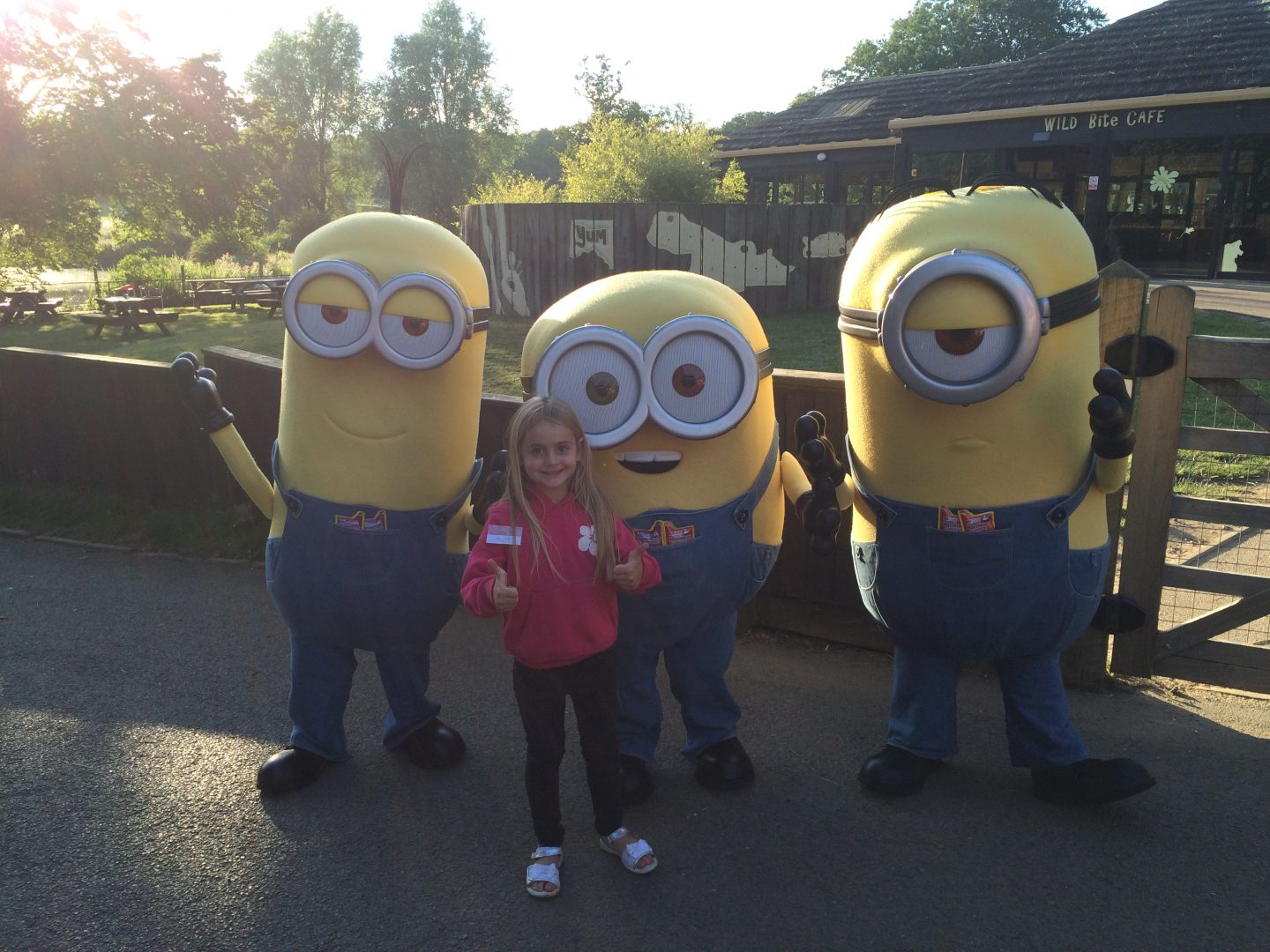 Lions, and Tigers, and Minions!?!